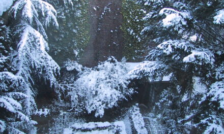 Winterimpression aus einem Innenhof